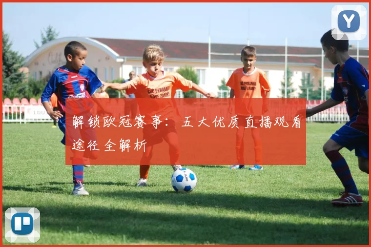 解锁欧冠赛事：五大优质直播观看途径全解析