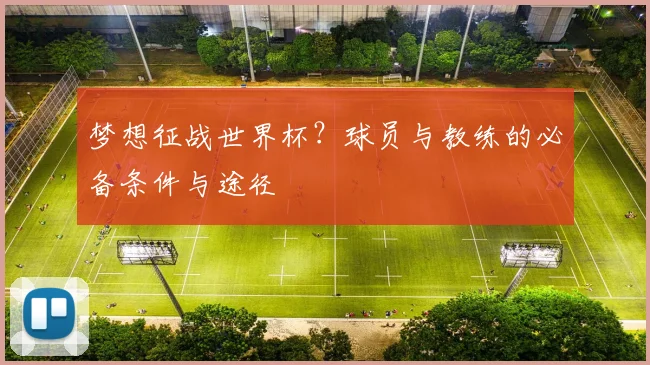 梦想征战世界杯?球员与教练的必备条件与途径