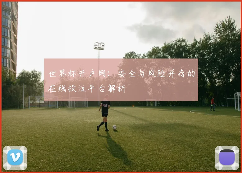 世界杯开户网：安全与风险并存的在线投注平台解析